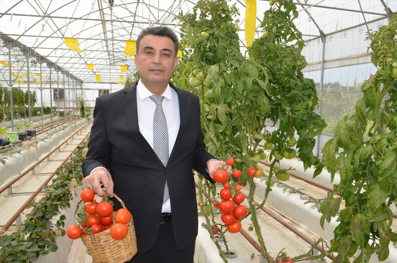 Yeni nesil tarımın ilk meyveleri toplanıyor! - Resim : 3