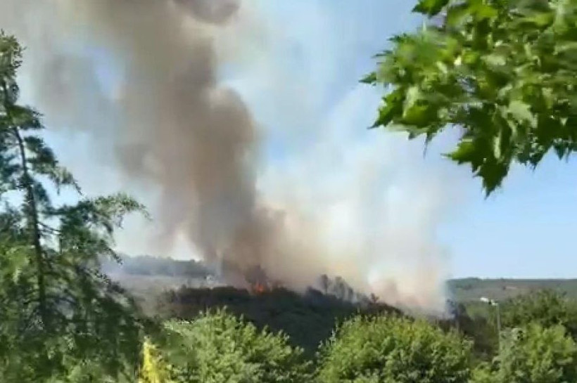 İstanbul'da orman yangını - Resim: 2