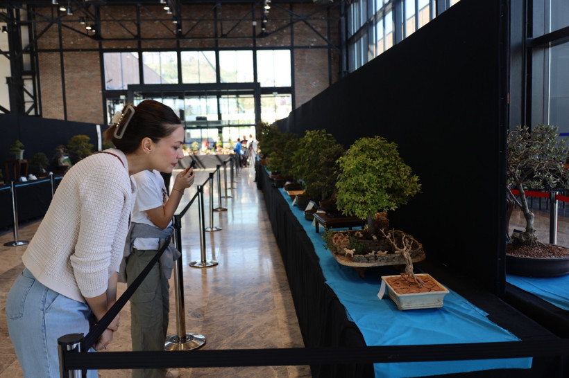 "Sabır ve özenin ürünü" Bonsai sanatı Kocaeli'de tanıtıldı - Resim : 3