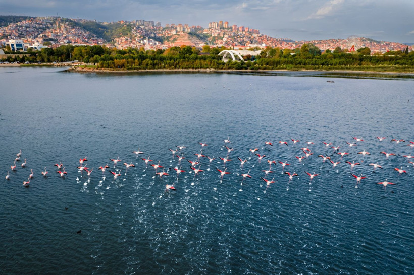 '4 Mevsim Kocaeli'... Fotoğraf yarışması için başvurular başladı - Resim: 4