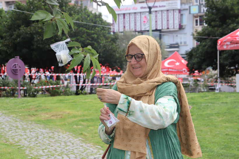 İzmitliler pişmaniyeyi ağaçtan topladı! - Resim : 2