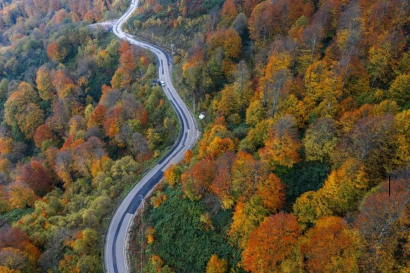 Sarı, turuncu ve kızıl renkler… Kartepe’de sonbahar güzelliği! - Resim: 1