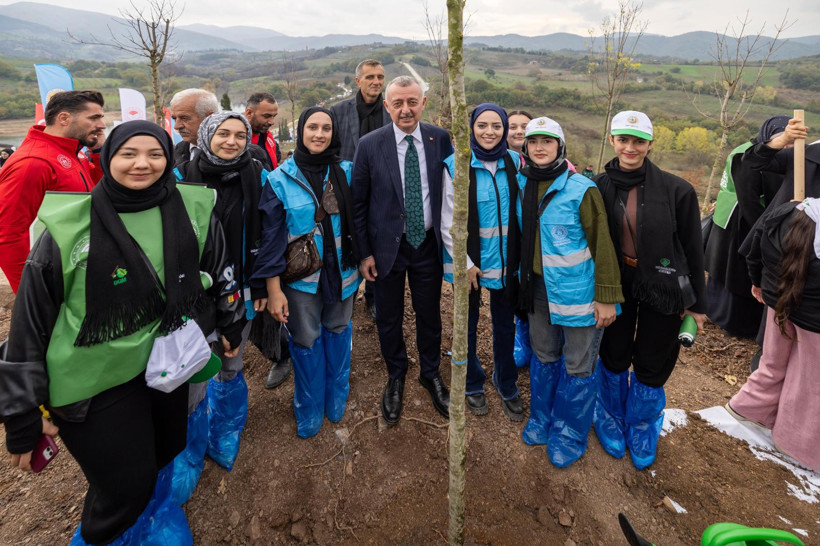 Karamürsel'de yaralar sarılıyor: Binlerce fidan doğaya can verecek - Resim : 1