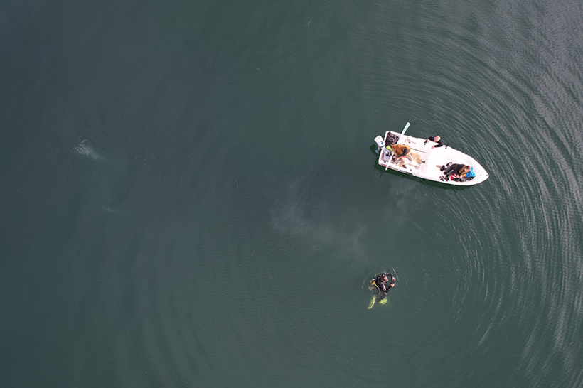 Sapanca Gölü'nde endişelendiren görüntü! Havadan ve su altından görüntülendi - Resim : 8
