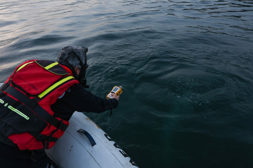 Endişeye sebep olmuştu... Sapanca Gölü'ndeki kabarcıkların sebebi belli oldu - Resim : 6