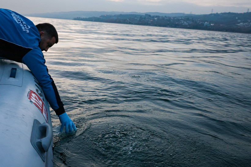 Endişeye sebep olmuştu... Sapanca Gölü'ndeki kabarcıkların sebebi belli oldu - Resim : 7