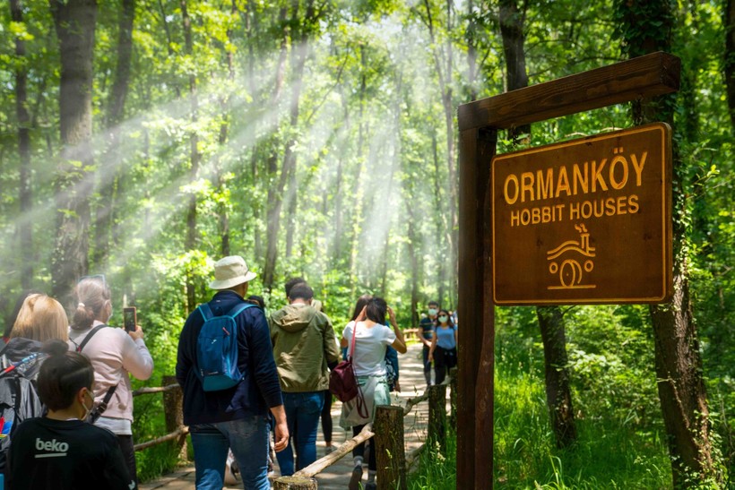Ormanya, 2024 yılında 5 milyon ziyaretçi ağırladı - Resim : 2