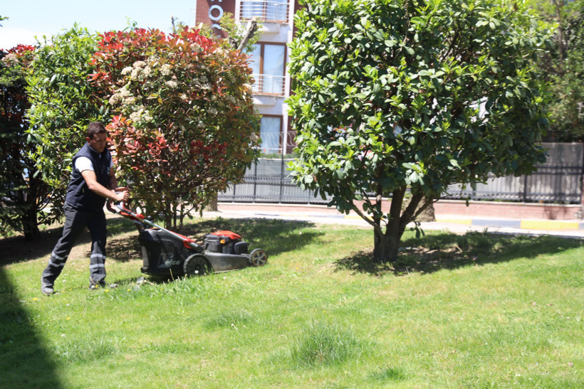 Darıca Belediyesi'nden park ve yeşil alanlara bahar dokunuşu - Resim : 1