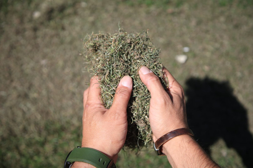 Kutlamaların faturası ağır olacak! Kocaeli Stadı’nın çimi baştan sona değişiyor! - Resim : 3