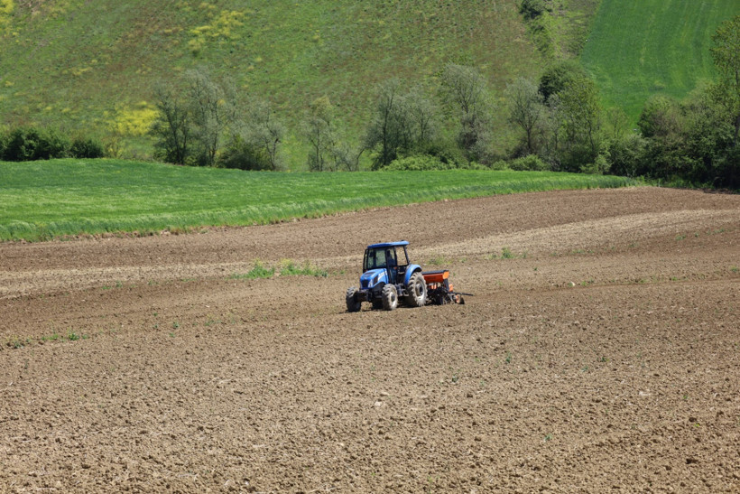 Kocaeli'nde mısır tohumları toprakla buluşuyor! - Resim : 4