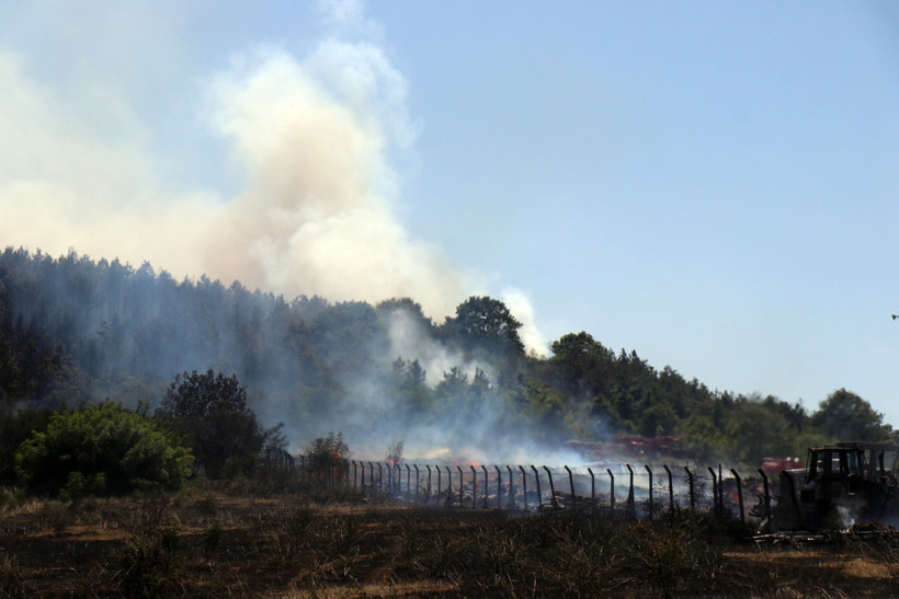 Ormanlık alanda korkutan yangın! Ekipler seferber oldu - Resim : 1
