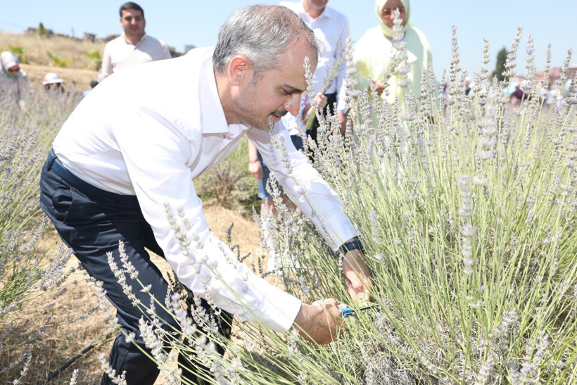 Çayırovalılar, lavanta hasadında buluştu - Resim : 4