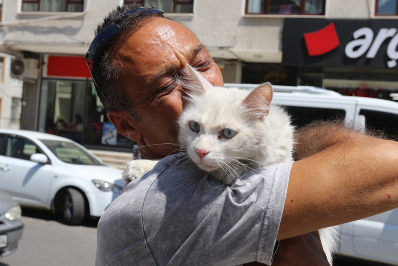 Kaybolan Pars günler sonra bulundu... Mutluluk gözyaşları döktü! - Resim : 2