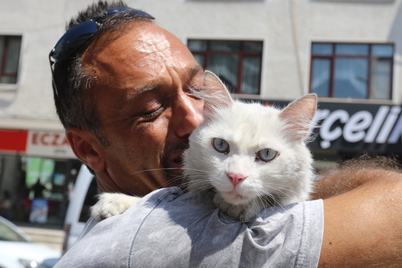 Kaybolan Pars günler sonra bulundu... Mutluluk gözyaşları döktü! - Resim : 1