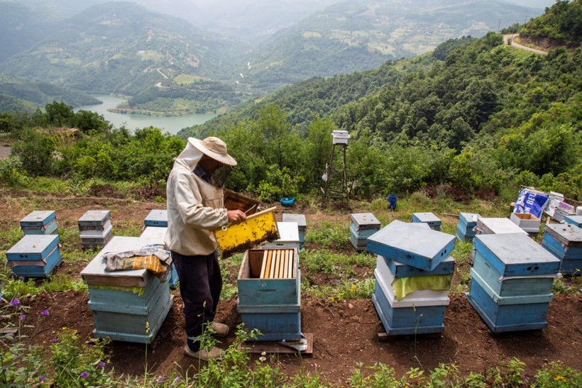 '4 Mevsim Kocaeli'... Fotoğraf yarışması için başvurular başladı - Resim: 6