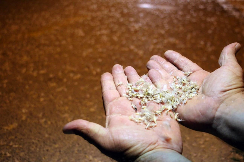 Yollar beyaza büründü... Son dansları dikkat çekti - Resim : 2