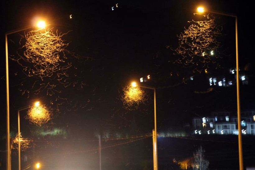 Yollar beyaza büründü... Son dansları dikkat çekti - Resim : 1