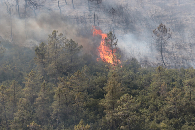 Kocaeli’de yine orman yangını çıktı - Resim : 2