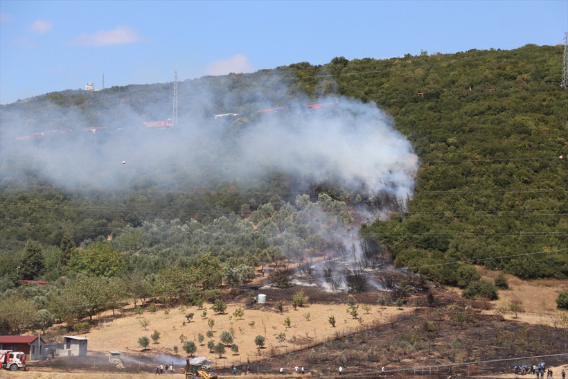 Kocaeli'de ağaçlık alanda yangın çıktı! - Resim : 2