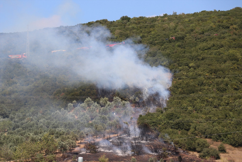 Kocaeli'de ağaçlık alanda yangın çıktı! - Resim : 3