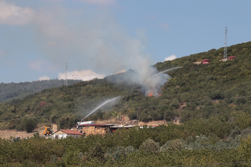 Kocaeli'de ağaçlık alanda yangın çıktı! - Resim : 1