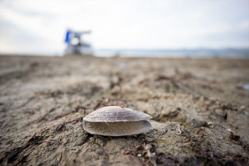 Sapanca Gölü, tarihinin en düşük seviyesine geriledi - Resim: 4