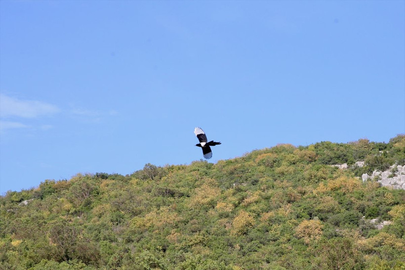 Sonbaharın en güzel renkleri; Kocaeli’nin gizli kalmış kanyonu! - Resim: 6