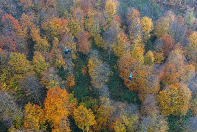 Sarı, turuncu ve kızıl renkler… Kartepe’de sonbahar güzelliği! - Resim: 9