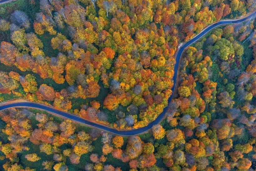 Sarı, turuncu ve kızıl renkler… Kartepe’de sonbahar güzelliği! - Resim: 10
