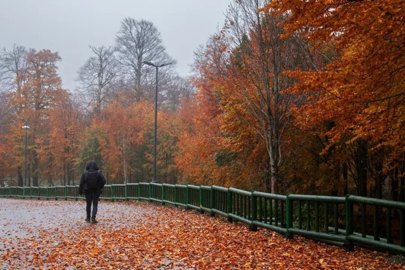Sarı, turuncu ve kızıl renkler… Kartepe’de sonbahar güzelliği! - Resim: 11