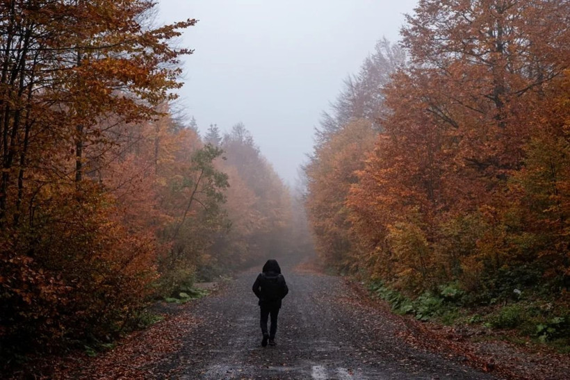 Sarı, turuncu ve kızıl renkler… Kartepe’de sonbahar güzelliği! - Resim: 12