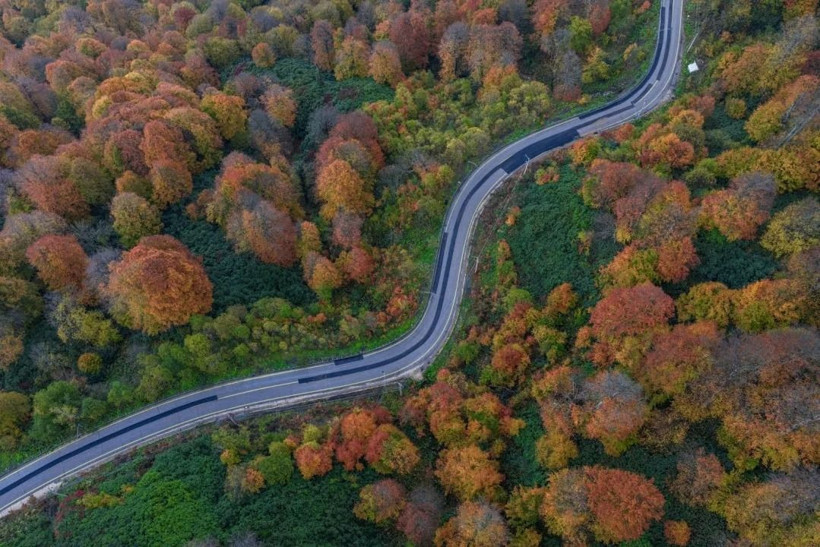 Sarı, turuncu ve kızıl renkler… Kartepe’de sonbahar güzelliği! - Resim: 14