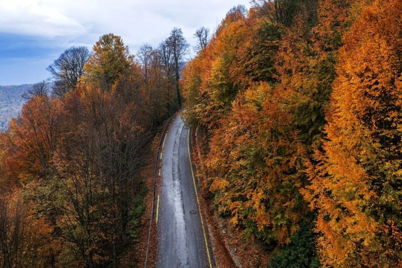 Sarı, turuncu ve kızıl renkler… Kartepe’de sonbahar güzelliği! - Resim: 3