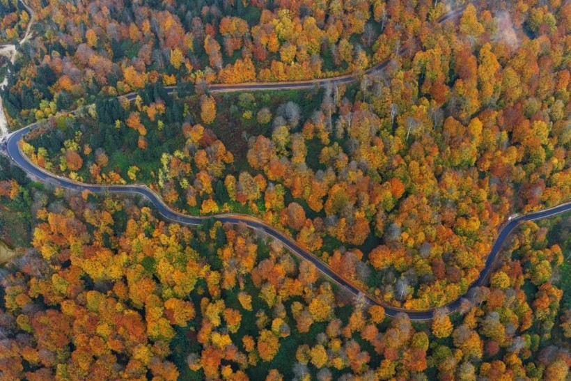 Sarı, turuncu ve kızıl renkler… Kartepe’de sonbahar güzelliği! - Resim: 7