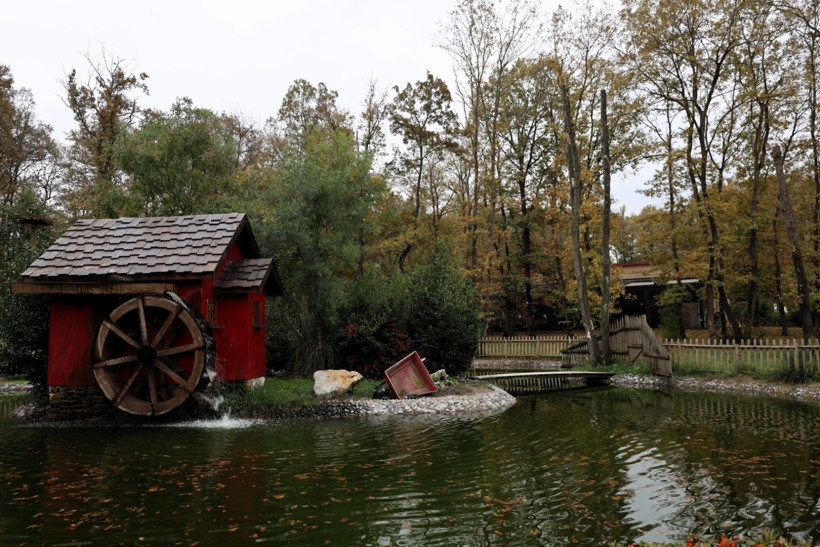 Ormanya'da sonbahar... Görenler mest oluyor - Resim : 3