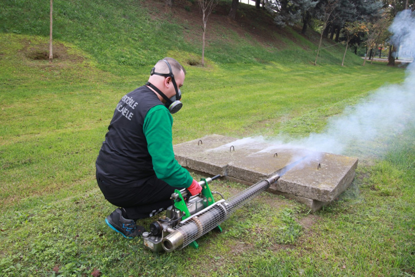 Kocaeli'de sinekle mücadele devam ediyor! - Resim : 2