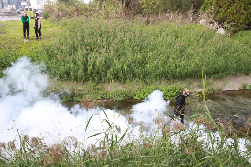 Kocaeli'de sinekle mücadele devam ediyor! - Resim : 3