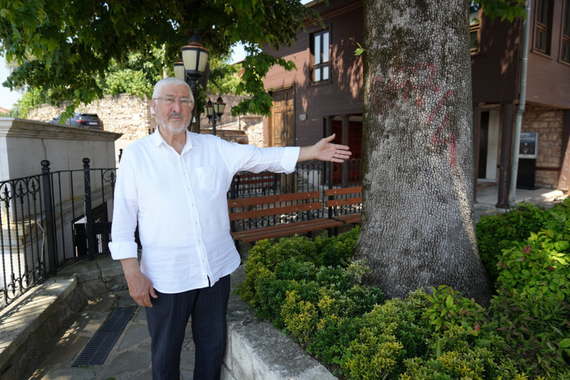 İzmit'in zirvesinin 6 asırlık sakini... 4 kez yıldırım düşen tarihi çınar yıllara meydan okuyor! - Resim : 3