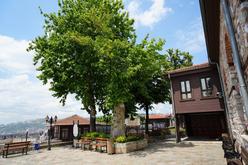 İzmit'in zirvesinin 6 asırlık sakini... 4 kez yıldırım düşen tarihi çınar yıllara meydan okuyor! - Resim : 4