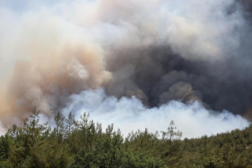 Büyük orman yangını… 2 mahalle tahliye ediliyor! - Resim : 1