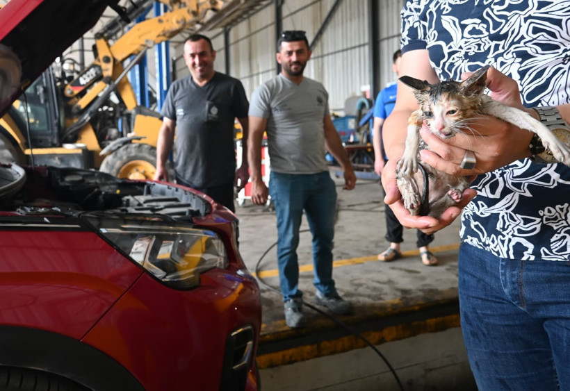 Kocaeli'de kurtarma operasyonu! Sıkıştığı yerden çıkarıldı - Resim : 1