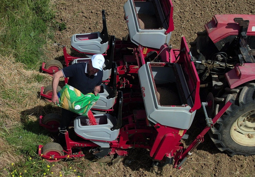Kocaeli'nde mısır tohumları toprakla buluşuyor! - Resim : 2