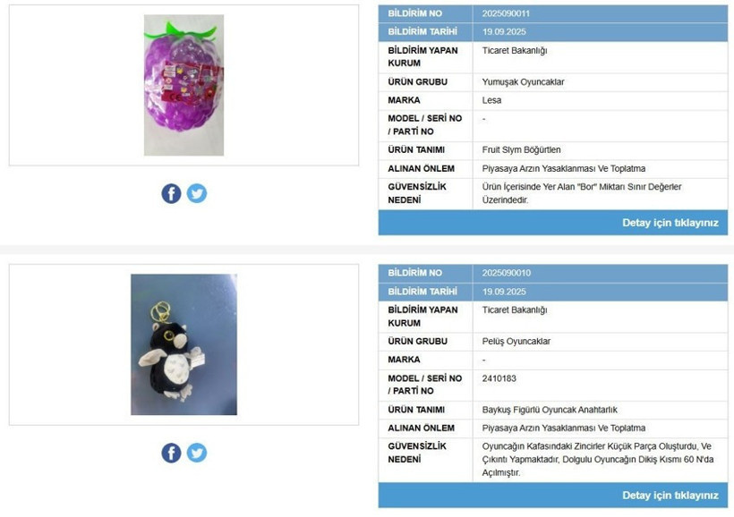 Piyasadan toplatılıyor: Bakanlık, iki oyuncağın satışını yasakladı - Resim : 1