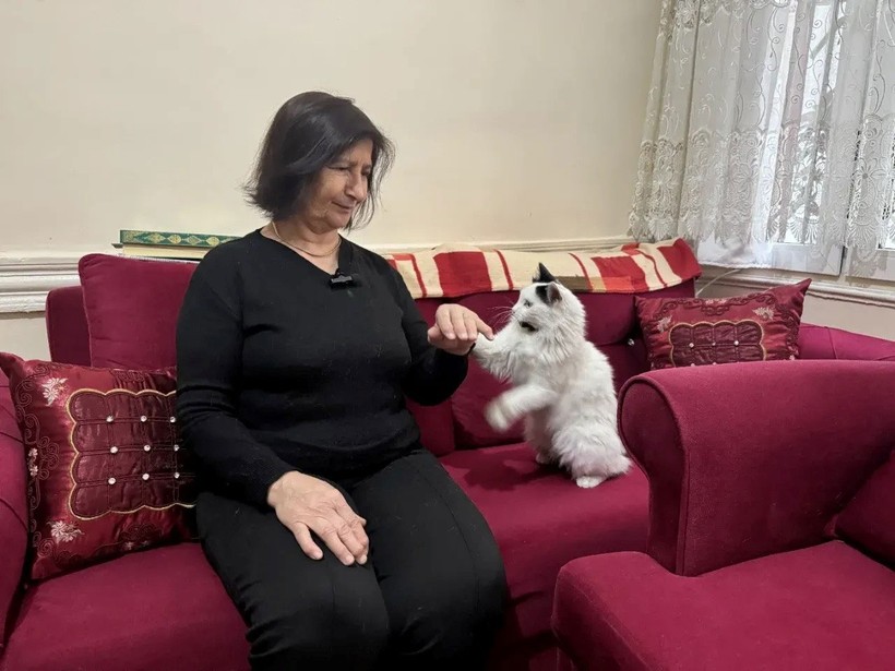 Sokak hayvanlarının Nurhan teyzesi… “Aç kalacaklar endişesiyle yatılı misafirliğe bile gitmiyorum” - Resim : 2