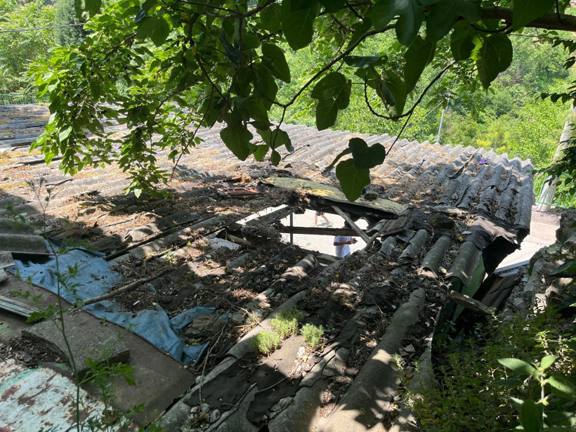 Kocaeli'de ipini koparan boğa otomobilin üzerine düştü - Resim : 1