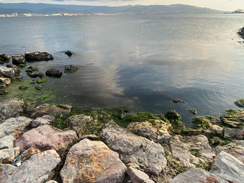 Sıcaklıklar artınca ortaya çıktı... Sekapark'ta dev yılan! - Resim : 2