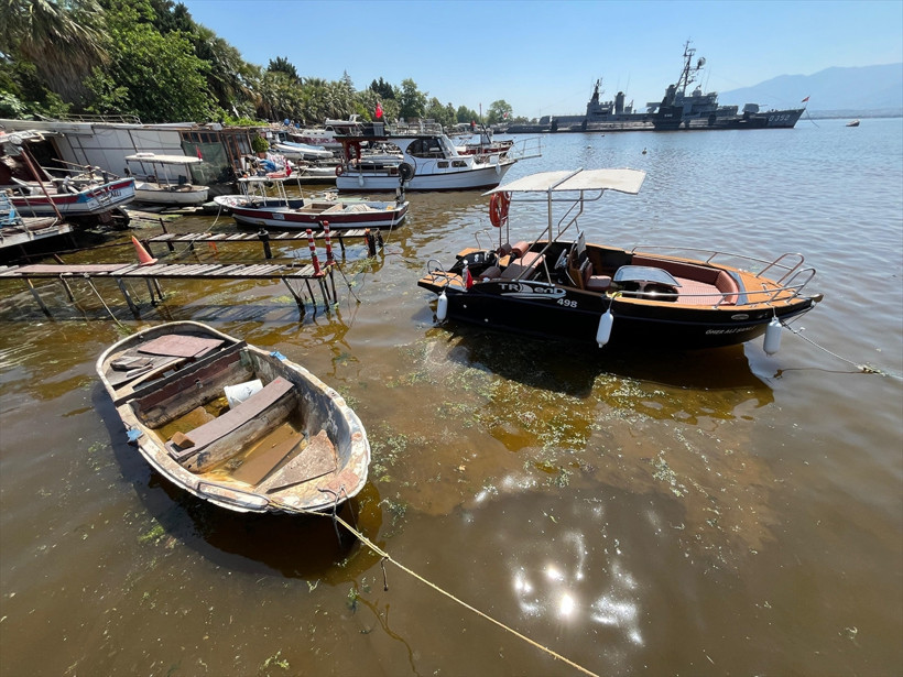 Denizin kıyısı yine kahverengiye döndü - Resim : 4