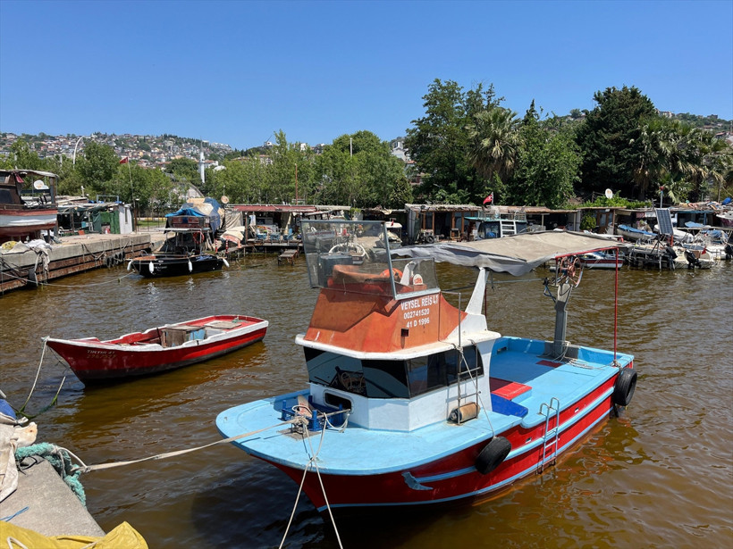 Denizin kıyısı yine kahverengiye döndü - Resim : 2