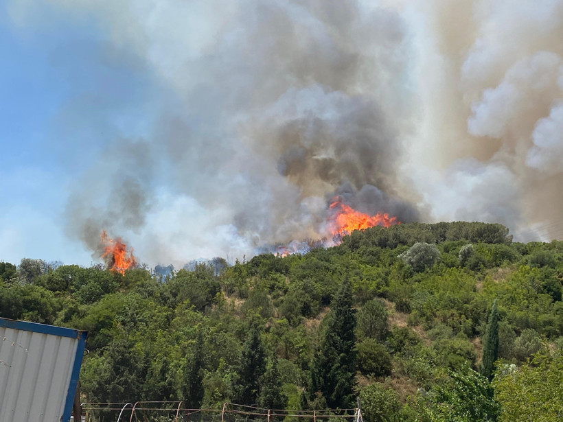 Kocaeli’de orman yangını! - Resim : 4