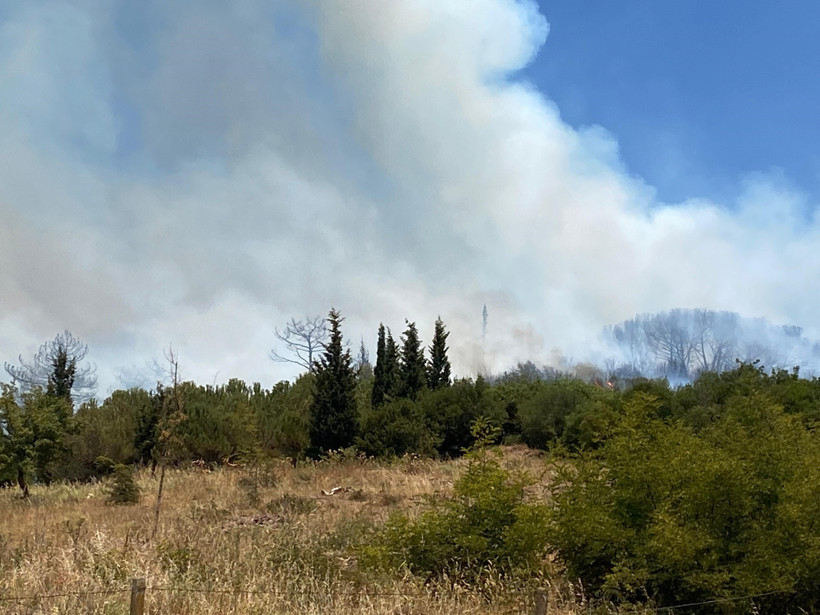 Kocaeli’de orman yangını! - Resim : 3